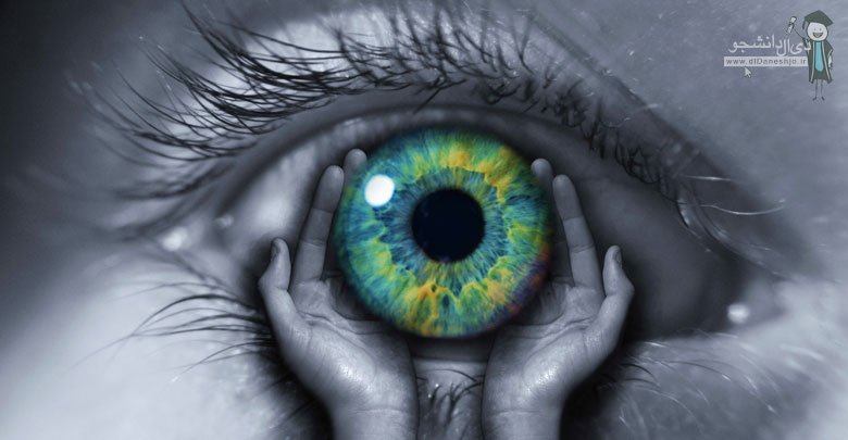 8 پیشنهاد برای زندگی در کنار کرونا