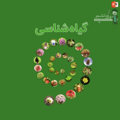 گیاه شناسی