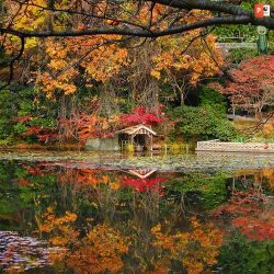 دانلود پاورپوینت پروژه باغ ژاپنی