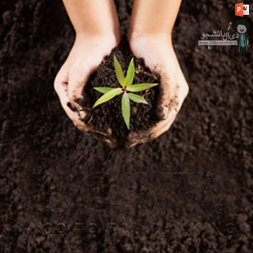 کشاورزی ارگانیک